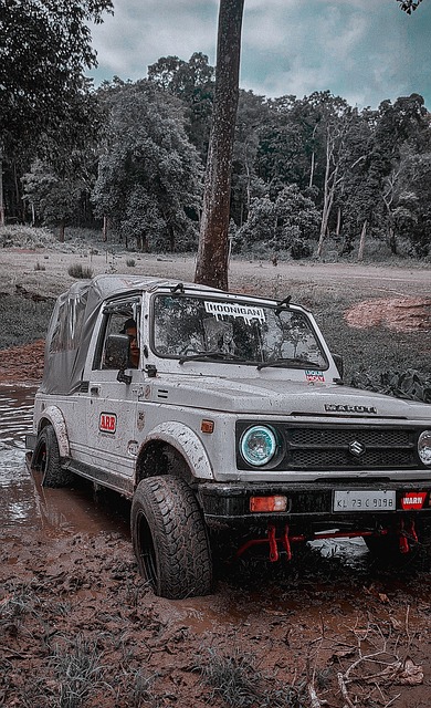 足球中如何快速阅读比赛？